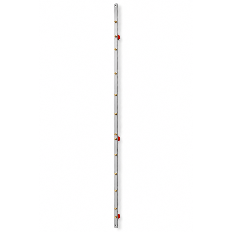 Aarding rail 42U