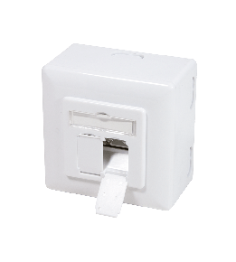 UTP wandcontactdozen